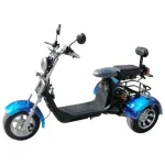 Електрическа триколка MaxMotors HARLEY 3000W, синя - Image 2