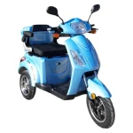Електрическа триколка | 1500W 20Ah | FM1 Lux - MaxMotors