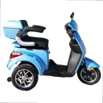 Електрическа триколка MaxMotors FM1 Lux - 1500W 20Ah, Синя - Image 2
