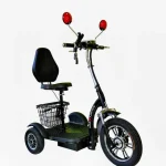 Електрическа триколка | задно | Черна | 750W - MaxMotors