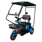 Електрическа триколка триместна с покрив MaxMotors X1 1500W Син - Image 2