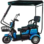 Електрическа триколка триместна с покрив MaxMotors X1 1500W Син - Image 3