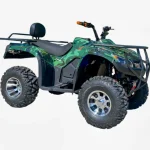 Електрическо АТВ 6000W | Тих и Мощен | Eco - Max Motors