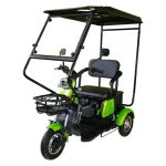 Електрическа триколка MaxMotors X1 2000W - триместна с покрив - Image 5