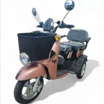 Електрическа триколка | 1500W | НОВ триместна - MaxMotors