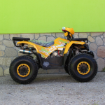 АТВ Teen HUNTER Max Motors - 150 кубика - Image 2