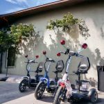 Електрическа триколка 750W | задно задвижване - MaxMotors