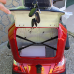 Електрическа триколка Max Motors FM2 New PRO 1800W, 25Ah, Red - Image 5