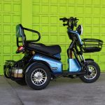 Двуместна електрическа триколка MaxMotors Pudding 1800W-48V-20Ah, Blue - Image 4