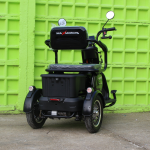 Електрическа триколка MaxMotors X1 NEW model +Аудио система - Image 5