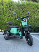 Електрическа триколка MaxMotors Grand Pudding 2000W-60V-25Ah Green - Image 2