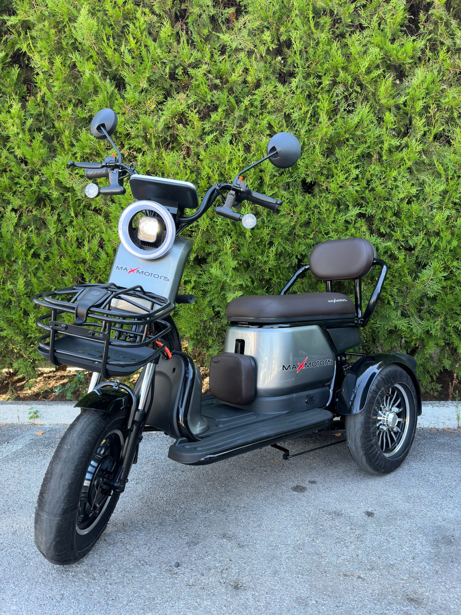 Електрическа триколка двуместна | Pudding 2000W-60V, Grey